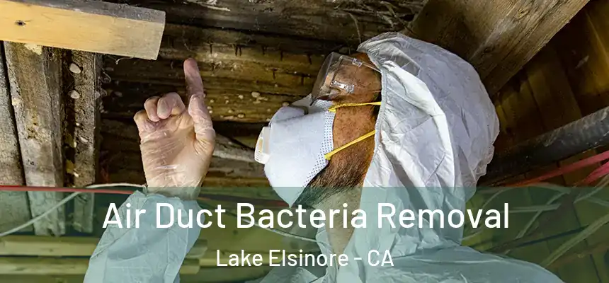 Air Duct Bacteria Removal Lake Elsinore - CA