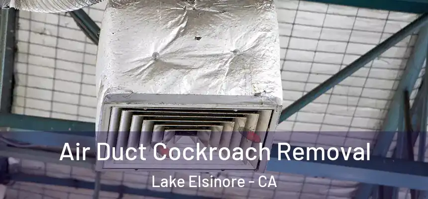 Air Duct Cockroach Removal Lake Elsinore - CA