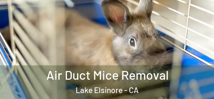 Air Duct Mice Removal Lake Elsinore - CA