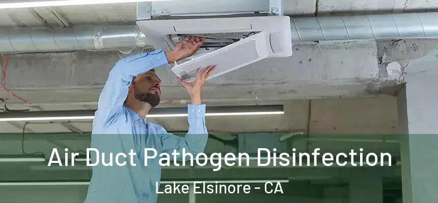 Air Duct Pathogen Disinfection Lake Elsinore - CA