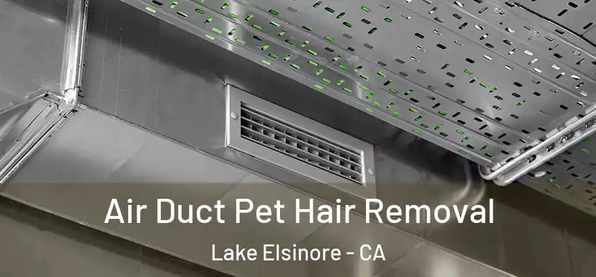  Air Duct Pet Hair Removal Lake Elsinore - CA