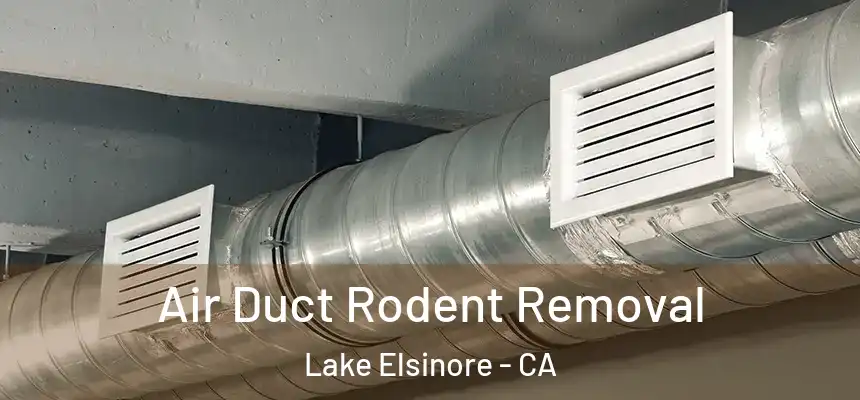 Air Duct Rodent Removal Lake Elsinore - CA