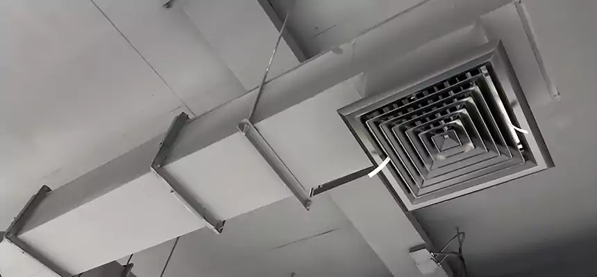 Our Rodent Droppings In Vents Services in Lake Elsinore, CA