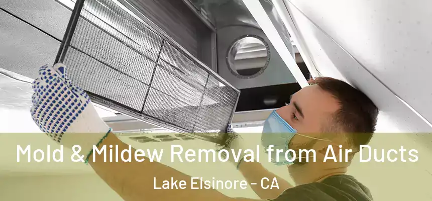 Mold & Mildew Removal from Air Ducts Lake Elsinore - CA
