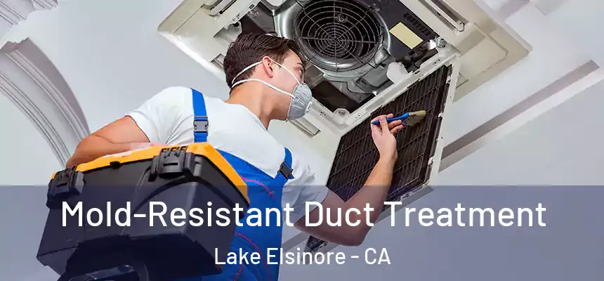 Mold-Resistant Duct Treatment Lake Elsinore - CA
