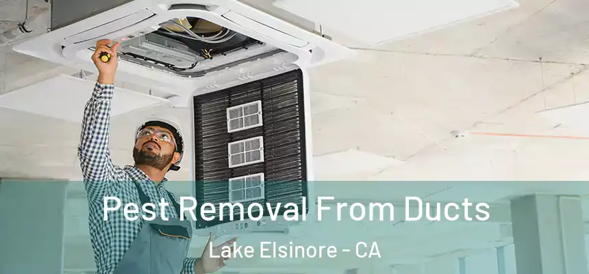 Pest Removal From Ducts Lake Elsinore - CA