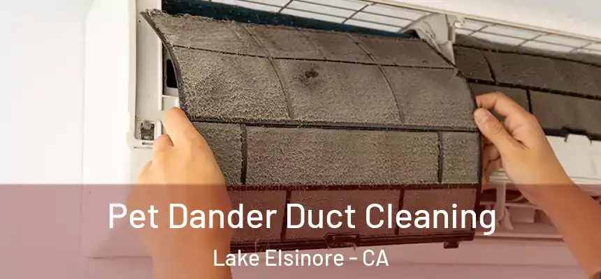 Pet Dander Duct Cleaning Lake Elsinore - CA
