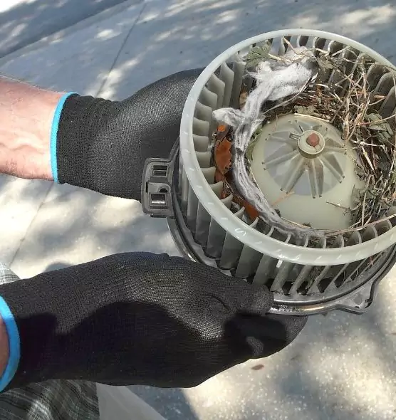 About Air Duct Rat Removal in Lake Elsinore, CA