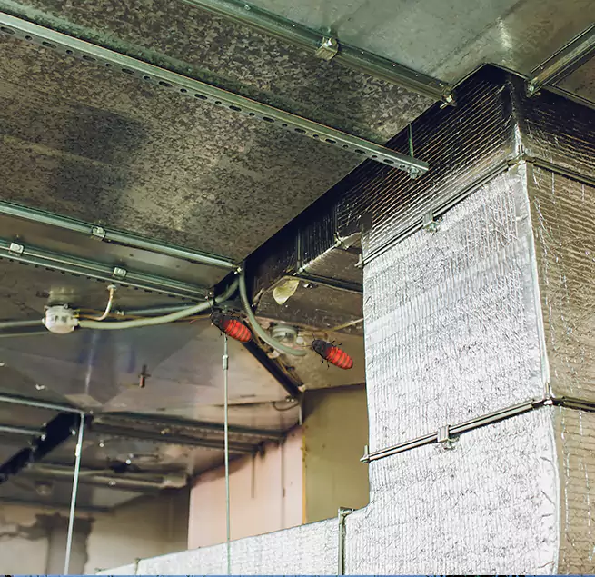 Why Homeowners & Businesses Trust Us in Lake Elsinore, CA?