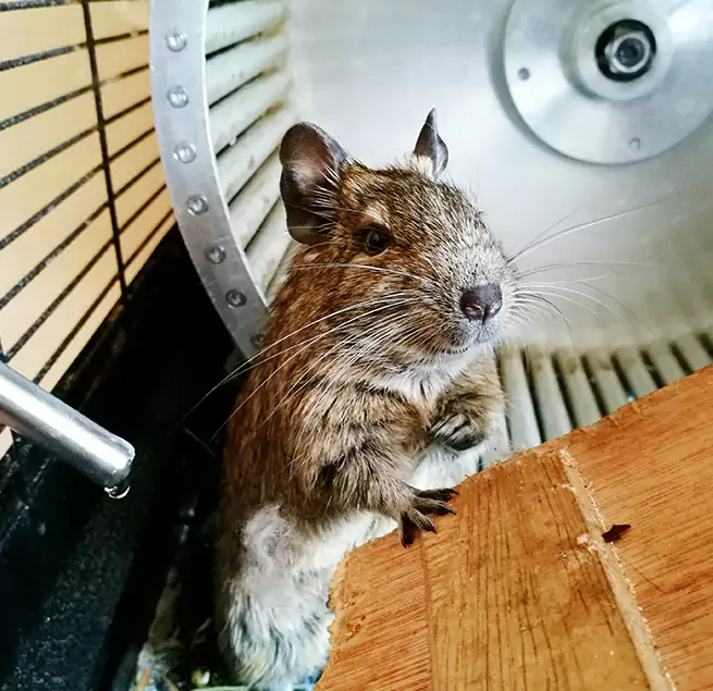 Why Homeowners & Businesses Trust Us Lake Elsinore, CA?